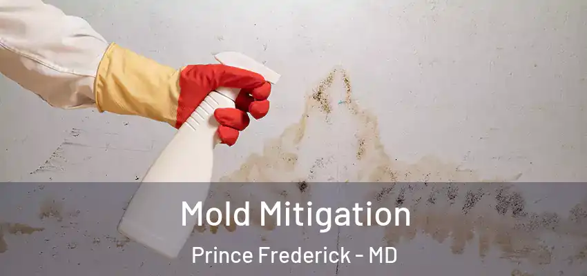 Mold Mitigation Prince Frederick - MD