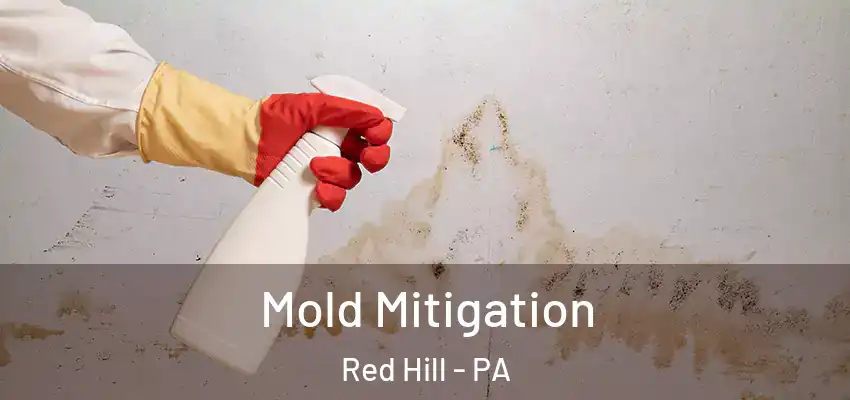  Mold Mitigation Red Hill - PA