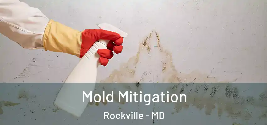 Mold Mitigation Rockville - MD