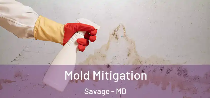 Mold Mitigation Savage - MD