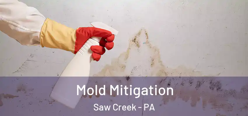 Mold Mitigation Saw Creek - PA