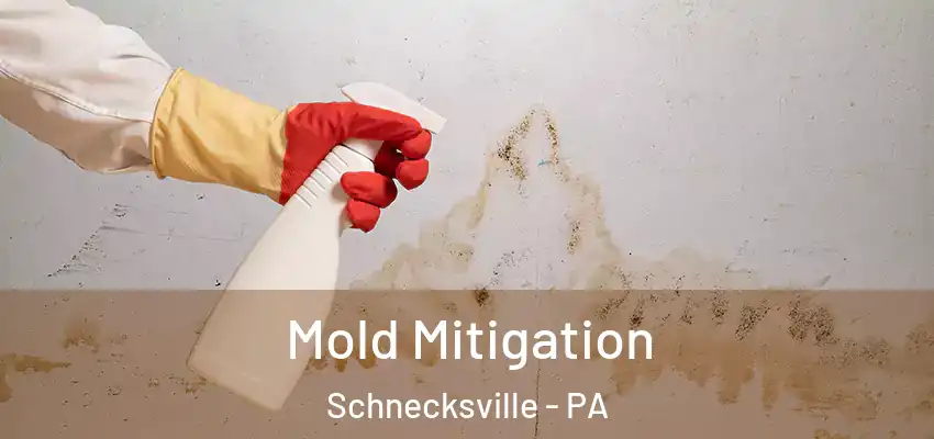 Mold Mitigation Schnecksville - PA