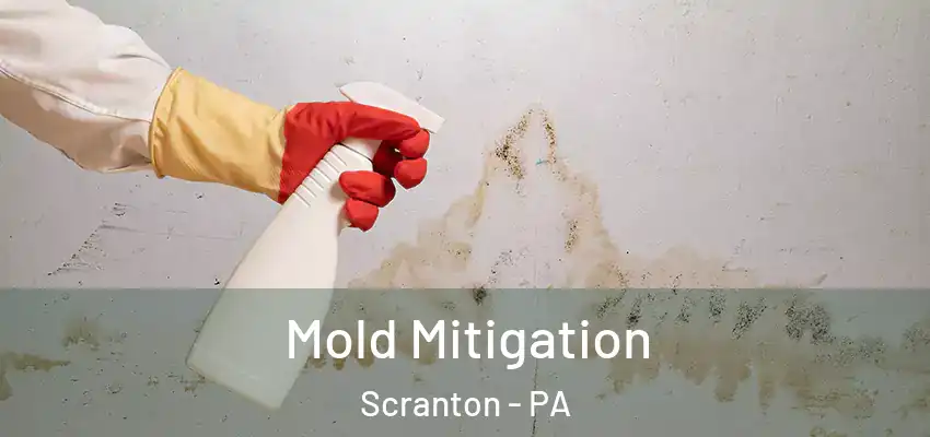 Mold Mitigation Scranton - PA