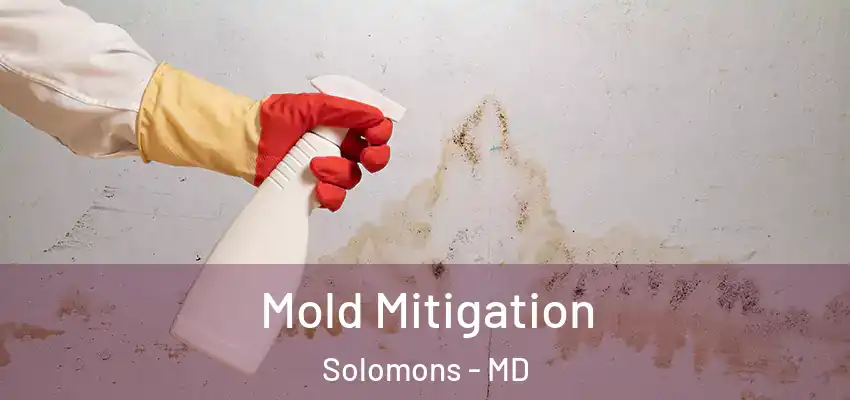 Mold Mitigation Solomons - MD
