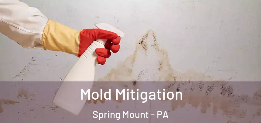 Mold Mitigation Spring Mount - PA