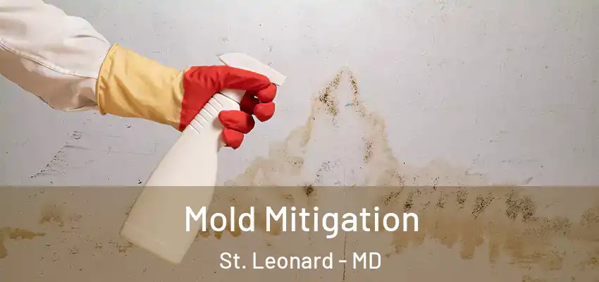 Mold Mitigation St. Leonard - MD