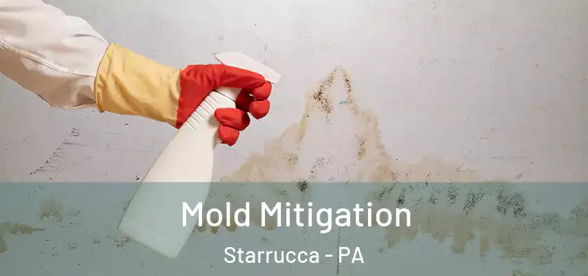 Mold Mitigation Starrucca - PA