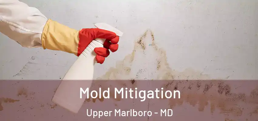 Mold Mitigation Upper Marlboro - MD