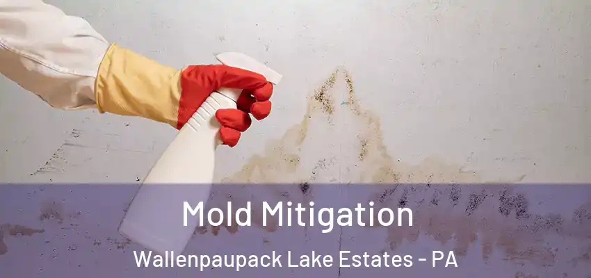 Mold Mitigation Wallenpaupack Lake Estates - PA