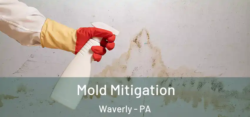 Mold Mitigation Waverly - PA