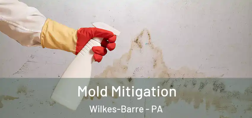Mold Mitigation Wilkes-Barre - PA
