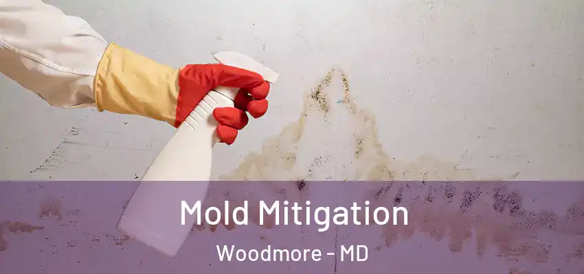  Mold Mitigation Woodmore - MD