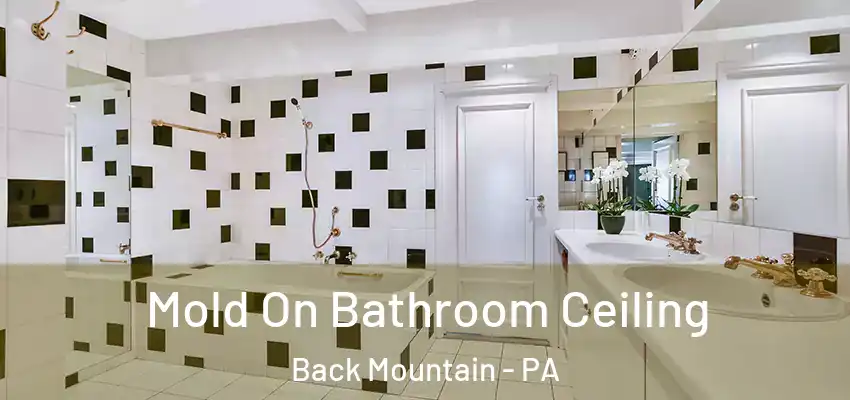 Mold On Bathroom Ceiling Back Mountain - PA