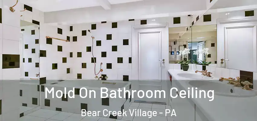 Mold On Bathroom Ceiling Bear Creek Village - PA