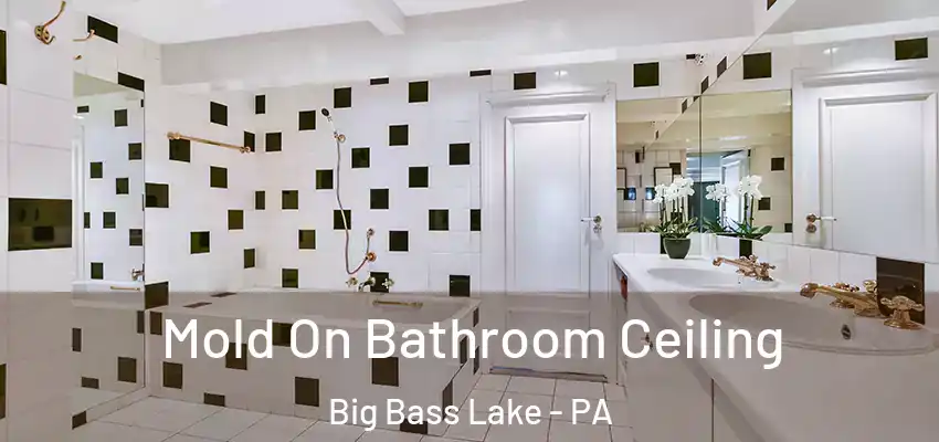 Mold On Bathroom Ceiling Big Bass Lake - PA