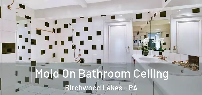 Mold On Bathroom Ceiling Birchwood Lakes - PA