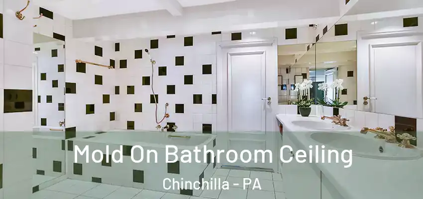 Mold On Bathroom Ceiling Chinchilla - PA