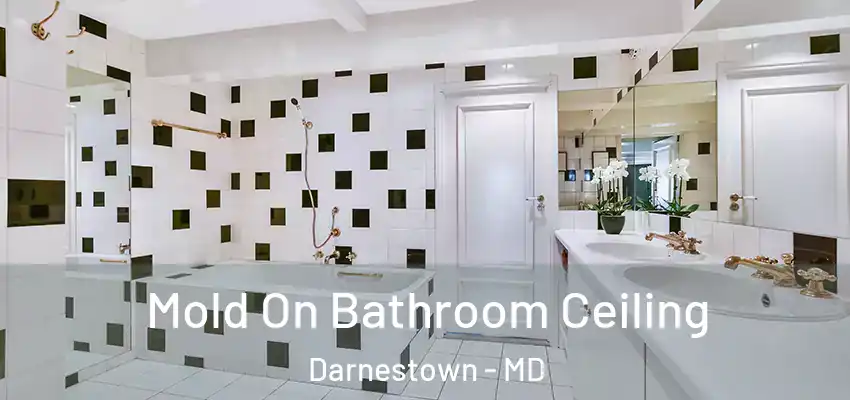 Mold On Bathroom Ceiling Darnestown - MD