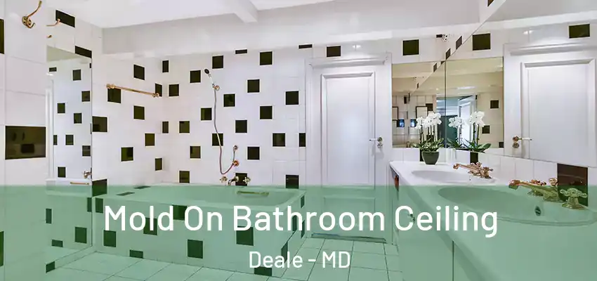 Mold On Bathroom Ceiling Deale - MD