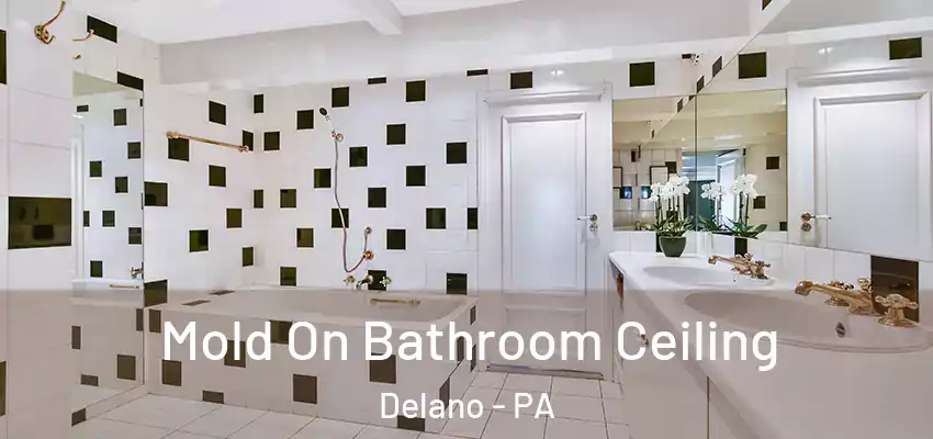 Mold On Bathroom Ceiling Delano - PA
