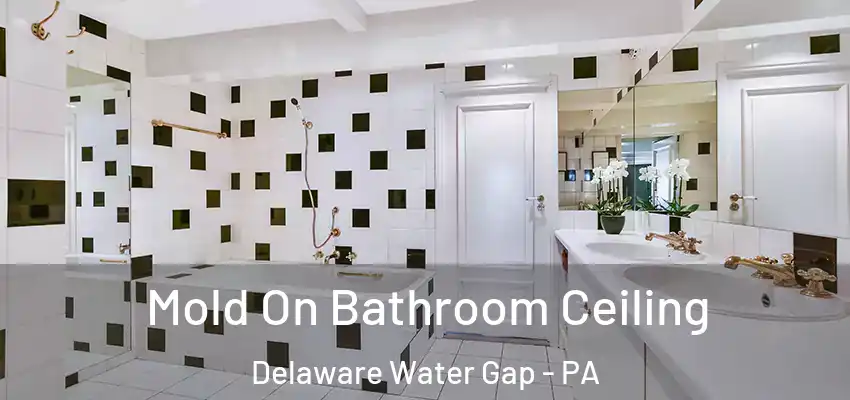 Mold On Bathroom Ceiling Delaware Water Gap - PA