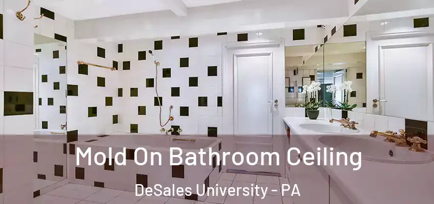 Mold On Bathroom Ceiling DeSales University - PA