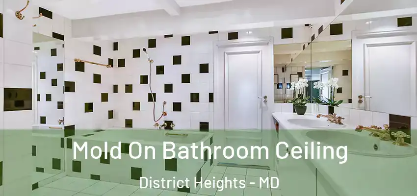 Mold On Bathroom Ceiling District Heights - MD