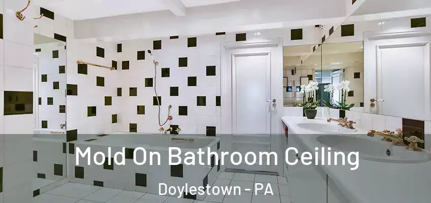  Mold On Bathroom Ceiling Doylestown - PA