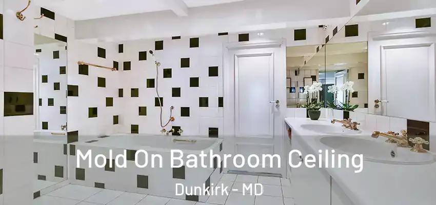 Mold On Bathroom Ceiling Dunkirk - MD
