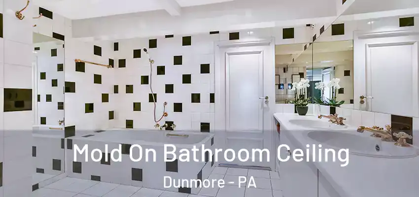 Mold On Bathroom Ceiling Dunmore - PA