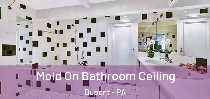 Mold On Bathroom Ceiling Dupont - PA