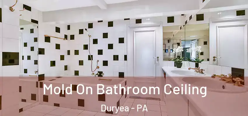 Mold On Bathroom Ceiling Duryea - PA