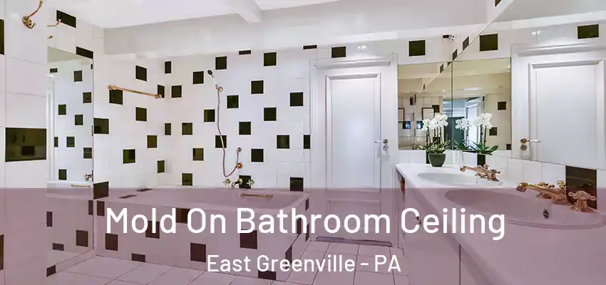 Mold On Bathroom Ceiling East Greenville - PA