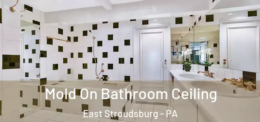 Mold On Bathroom Ceiling East Stroudsburg - PA