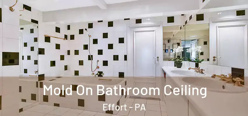 Mold On Bathroom Ceiling Effort - PA