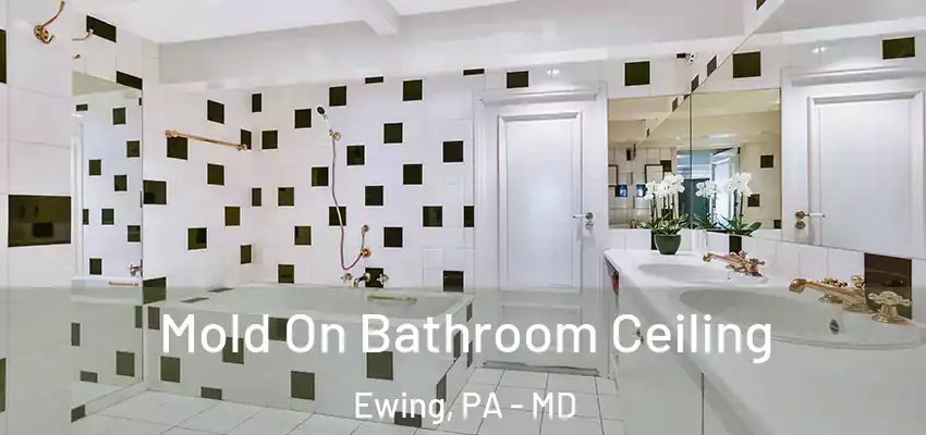 Mold On Bathroom Ceiling Ewing, PA - MD