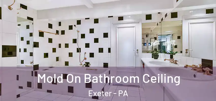 Mold On Bathroom Ceiling Exeter - PA
