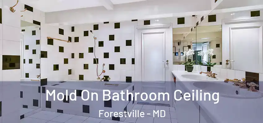 Mold On Bathroom Ceiling Forestville - MD