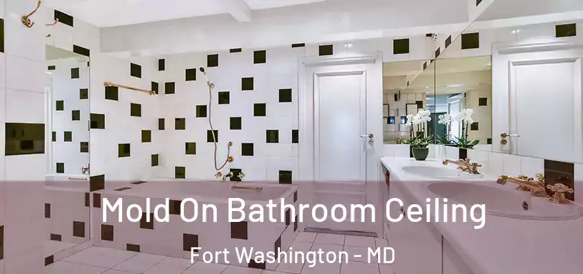 Mold On Bathroom Ceiling Fort Washington - MD