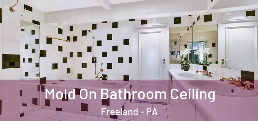 Mold On Bathroom Ceiling Freeland - PA