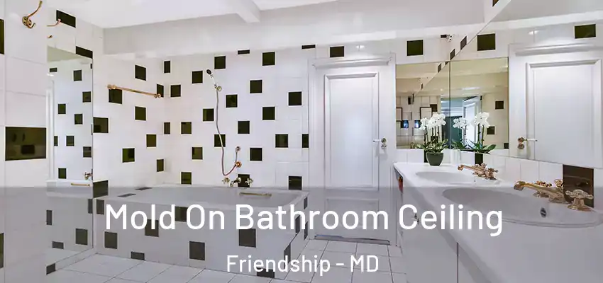 Mold On Bathroom Ceiling Friendship - MD