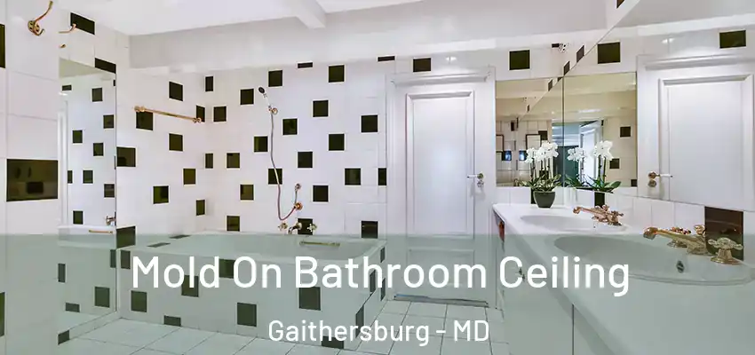  Mold On Bathroom Ceiling Gaithersburg - MD