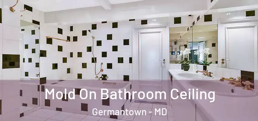 Mold On Bathroom Ceiling Germantown - MD