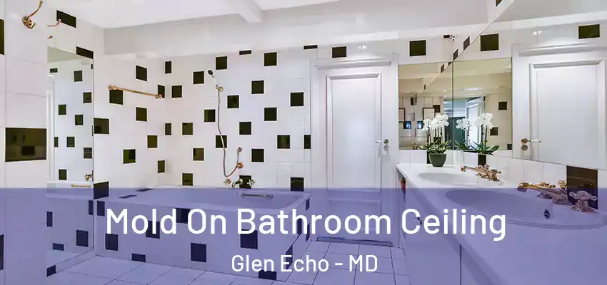 Mold On Bathroom Ceiling Glen Echo - MD