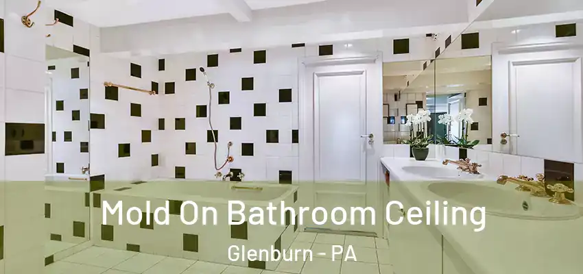 Mold On Bathroom Ceiling Glenburn - PA