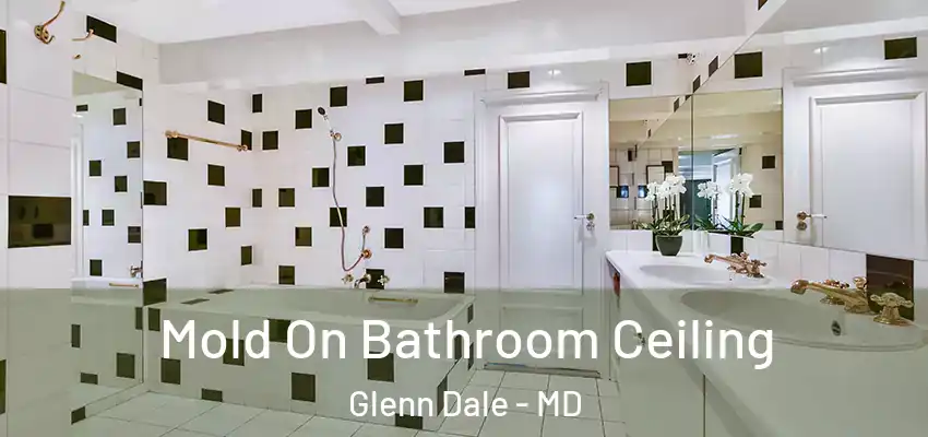 Mold On Bathroom Ceiling Glenn Dale - MD