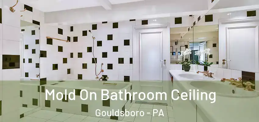 Mold On Bathroom Ceiling Gouldsboro - PA