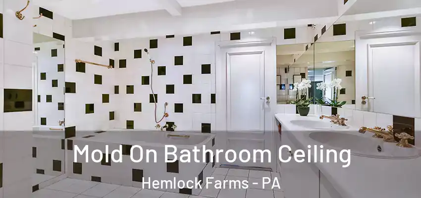 Mold On Bathroom Ceiling Hemlock Farms - PA
