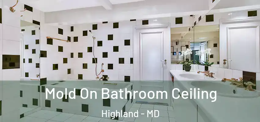 Mold On Bathroom Ceiling Highland - MD