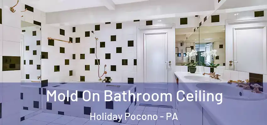 Mold On Bathroom Ceiling Holiday Pocono - PA